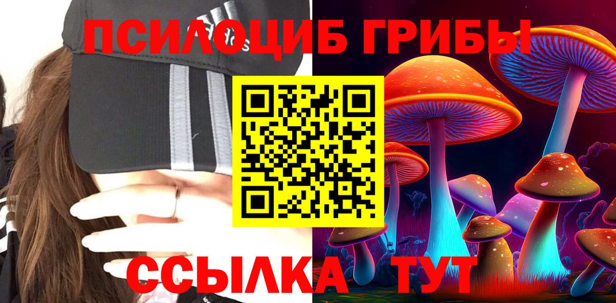 Торжок  Галлюциногенные грибы Psilocybine cubensis  Вход с VPN  Галлюциногенные грибы Magic Shrooms 