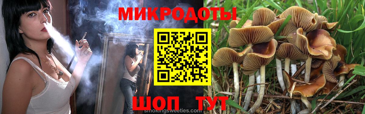 Галлюциногенные грибы Psilocybe Торжок